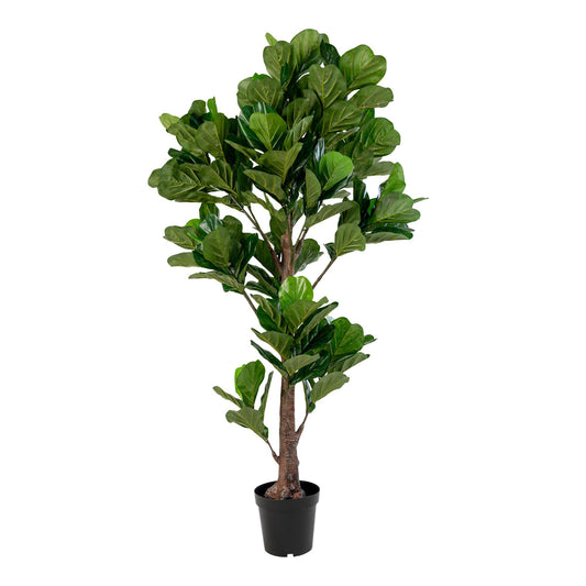 Fiddle Leaf Tree