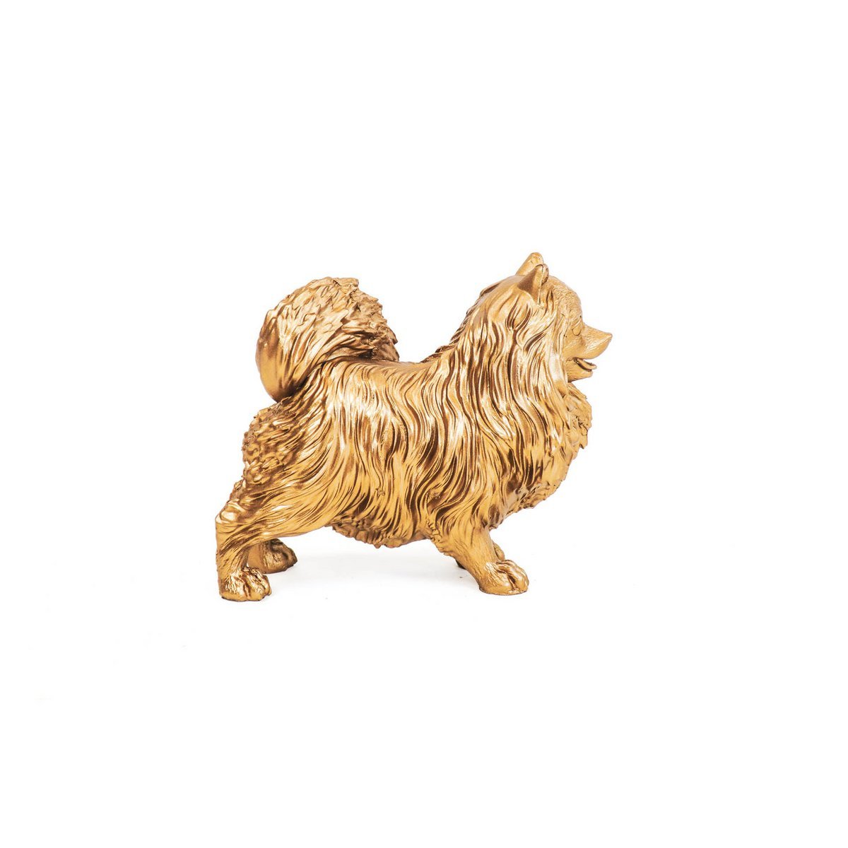 HV Pommeren Hond - Goud - 23x10x18cm